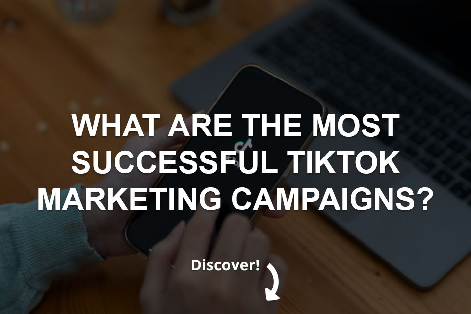 What Are the Most Successful TikTok Marketing Campaigns ?
